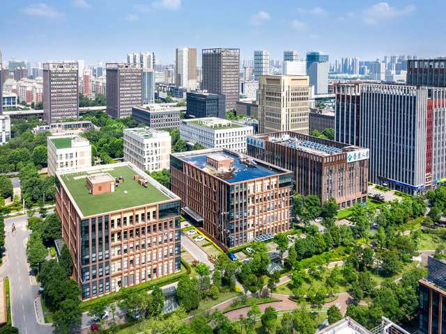 越秀温室蝴蝶兰保养